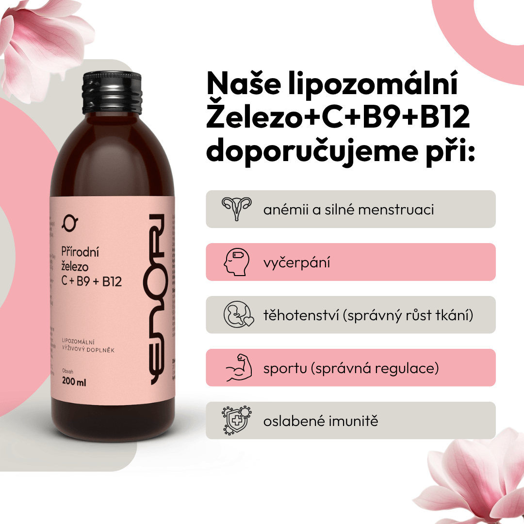 Železo+C+B9+B12 1 CZ